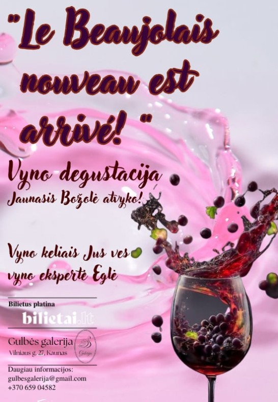 Jaunasis Božolė atvyko! Le Beaujolais nouveau est arrivé! | Vyno degustacija