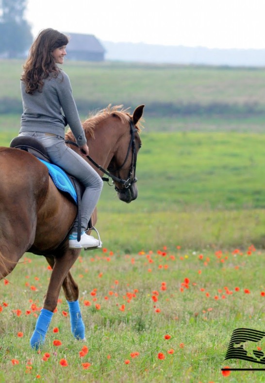 Abonementai norintiems išmokti joti ir sportuoti