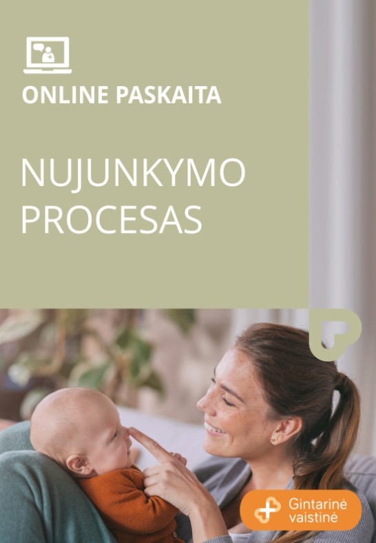 Web seminaras ''Nujunkymo procesas''